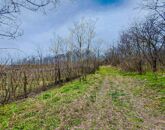 Eladó telek/földterület Bölcske 2 700 000 Ft