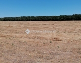 Eladó telek/földterület Vecsés 169 900 000 Ft