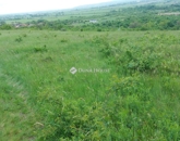 Eladó telek/földterület Szentendre 78 000 000 Ft