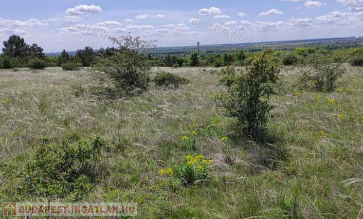 Eladó mezőgazdasági terület Veszprém vonzáskörzetében!                                 