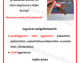 Részpanorámás szőlő terület