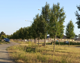 Eladó telek/földterület Debrecen 89 500 000 Ft