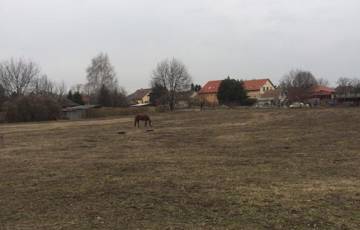 Eladó telek/földterület