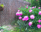 Eladó családi ház Zalaegerszeg 83 000 000 Ft