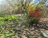 Eladó telek/földterület Biatorbágy 12 900 000 Ft