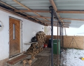 Eladó családi ház Mohács 7 500 000 Ft