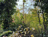 Eladó telek/földterület Kőszeg 29 500 000 Ft