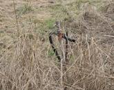 Eladó építési telek Kecskéd szívében! Csendes, forgalommentes környezetben!