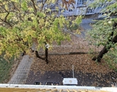 Eladó lakás Pécs 39 999 999 Ft