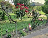 Eladó családi ház Kővágószőlős 82 900 000 Ft