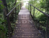 Eladó lakás Kismaros 59 000 000 Ft