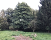 Eladó telek/földterület Bagod 12 490 000 Ft