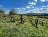 Hegyestűn elvehetetlen pazar panorámával