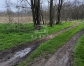 Eladó telek/földterület Őrbottyán 110 000 000 Ft