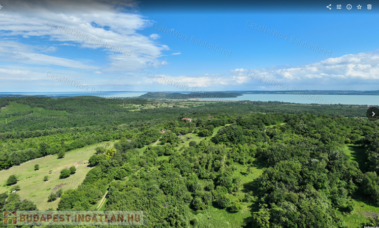 Balaton-felvidéken 6,3 ha birtok, 2 db romos épülettel                                 