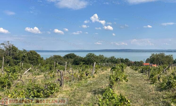 Eladó Balatatonszepezden egy örökpanorámás külterületi telek szőlővel                                 