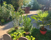 Eladó családi ház Nagykanizsa 49 900 000 Ft