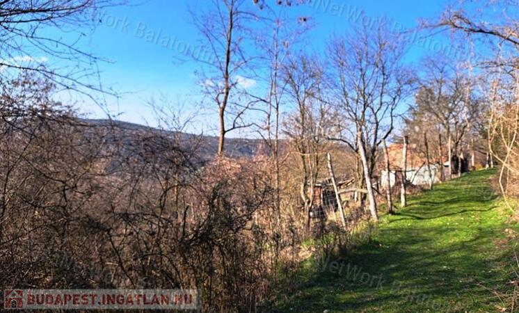 Fás, erdős terület - eladó MEZŐGAZDASÁGI TERÜLET KAPOLCSON                                 