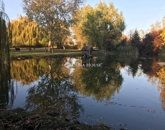 Eladó telek/földterület Bóly 84 000 000 Ft