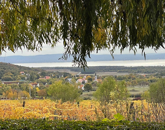 Eladó családi ház Dörgicse 159 000 000 Ft