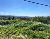 Eladó telek/földterület Cserszegtomaj 85 000 Euro