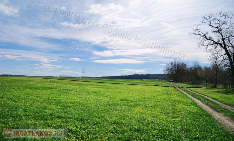Ipari fejlesztési területen, telek