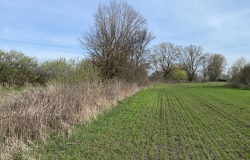 Eladó telek/földterület