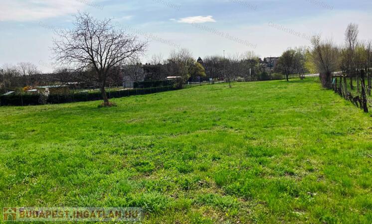 Balatonfüred zártkert 3.160 m2                                 