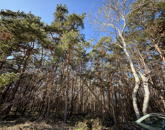 Eladó telek/földterület Debrecen 18 900 000 Ft