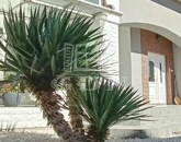 Eladó családi ház Baja 130 000 000 Ft