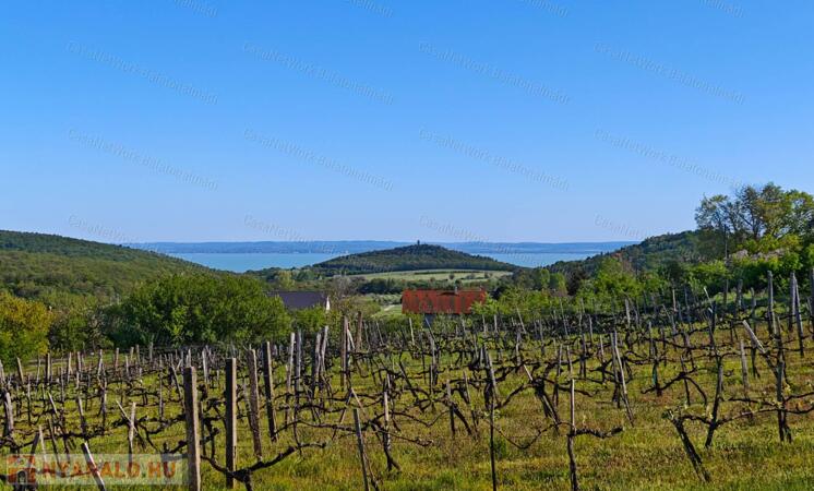 Balatoni panorámás nyaraló eladó Felsőörsön                                 