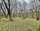 Eladó telek/földterület Budapest II. ker 480 000 000 Ft