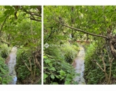 Eladó családi ház Pécs 89 900 000 Ft