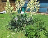 Eladó üdülő/nyaraló Mohács 16 900 000 Ft