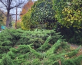 Eladó lakás Szombathely 50 000 000 Ft