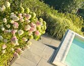 Eladó családi ház Szentendre 250 000 000 Ft