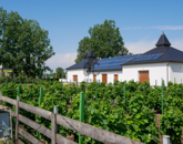 Eladó iroda/üzlethelyiség Hajdúsámson 350 000 000 Ft