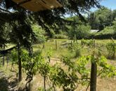 Eladó telek/földterület Miskolc 13 900 000 Ft