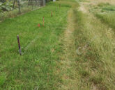 Eladó telek/földterület Tatabánya 17 900 000 Ft