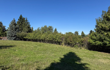 Eladó telek/földterület