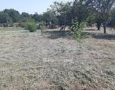 Eladó telek/földterület Ádánd 9 000 000 Ft