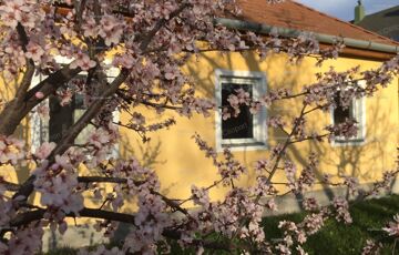 Eladó családi ház