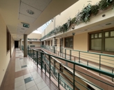 Kiadó iroda/üzlethelyiség Székesfehérvár 180 000 Ft