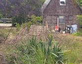 Tájvédelmi zöldövezet közelében építési telek