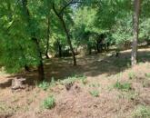 Építési telek eladó Gyarmatpusztán – ahol a természet, a múlt és a jövő találkozik