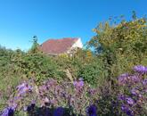 Eladó üdülő/nyaraló Újudvar 2 800 000 Ft