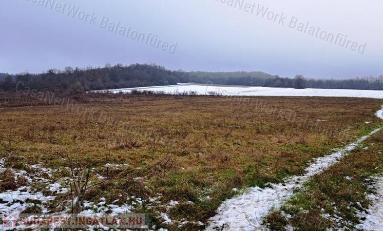 Település mellett-eladó MEZŐGAZDASÁGI TERÜLET DÖRGICSÉN                                 