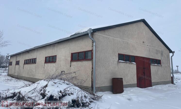 Raktározási,kereskedelmi,ipari célú tevékenységekhez ingatlan eladó                                 