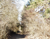 Eladó családi ház Zalalövő 15 000 000 Ft