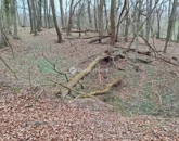 Eladó telek/földterület Páka 2 250 000 Ft